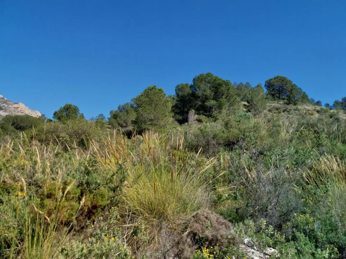 Terreno rustico in vendita a Lugar Castillo, imagen 34