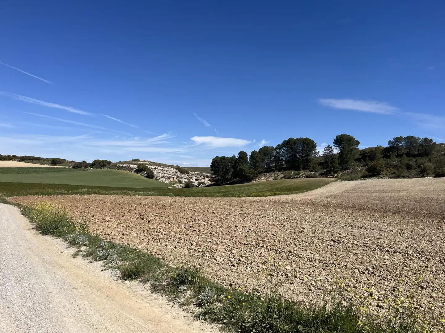 Rustikales Grundstück zum Verkauf in Avenida de Andalucía, imagen 10