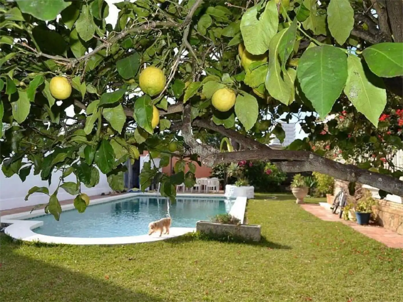 House to rent in Avenida de Cádiz 31, imagen 3