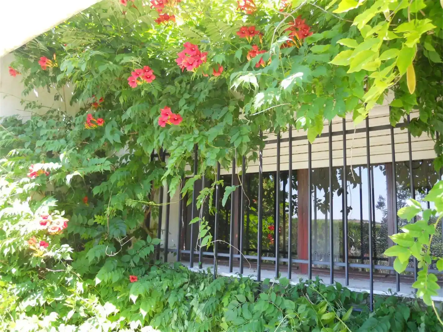 Terrassa de Casa o xalet en venda en Montemayor amb Aire condicionat i Piscina