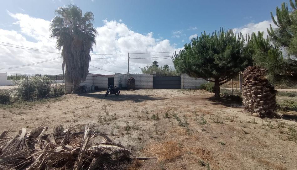 Foto 1 de Terreno en venta en Diseminado Piñuelas, Villanueva de la Serena, Badajoz