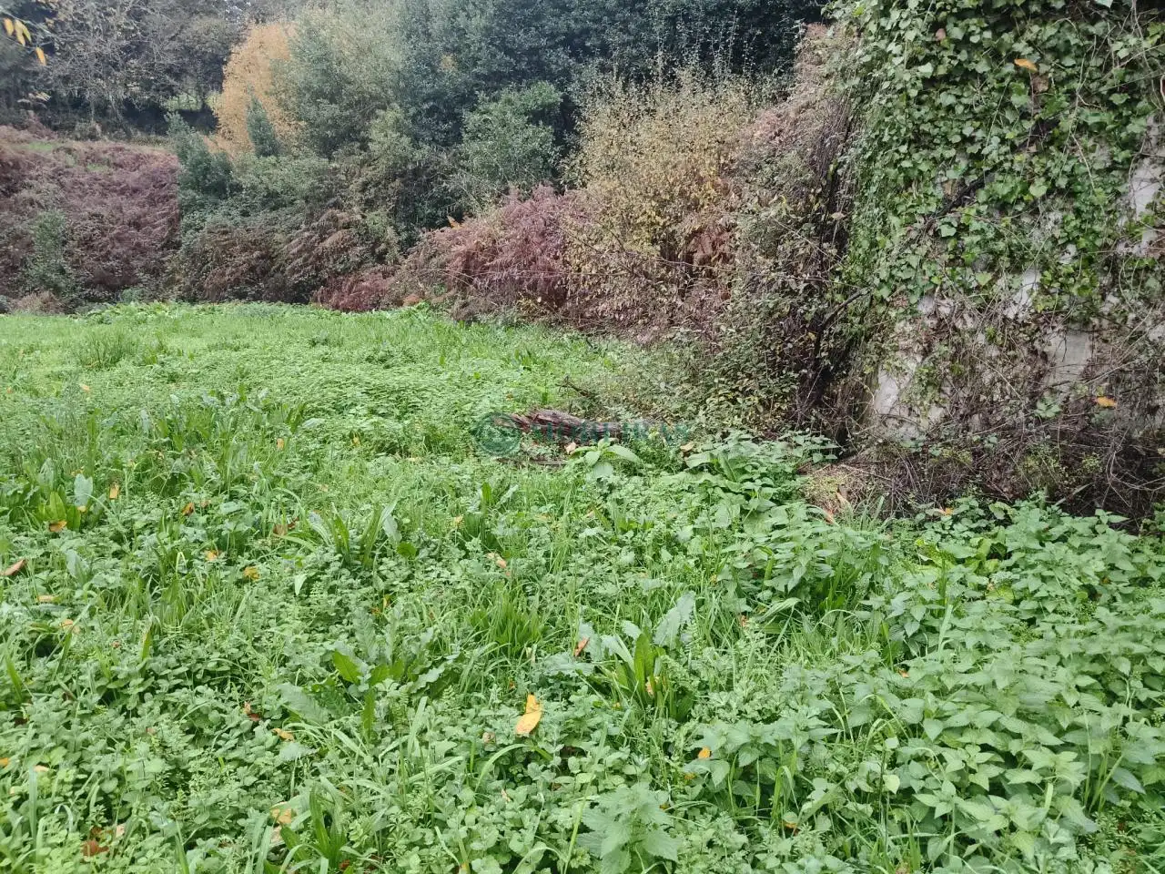 Haus mit Garten zum Verkauf in Barbadás, imagen 29