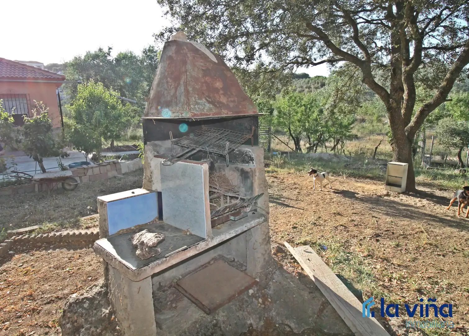 Jardín de Finca rústica en venta en Archidona con Jardín privado, Trastero y Piscina