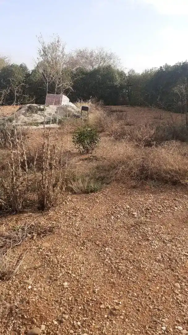 Finca rústica en venda en La Campana