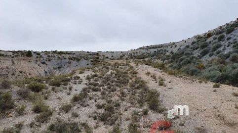 Vélez de BenaudallaTerreno, imatge 4