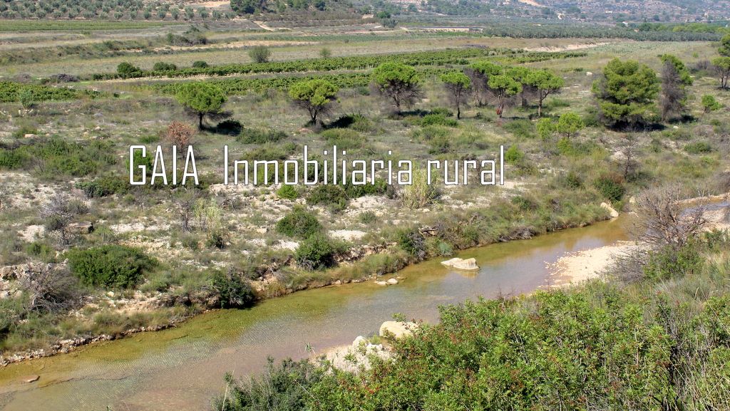 Finca rústica en venta en Batea