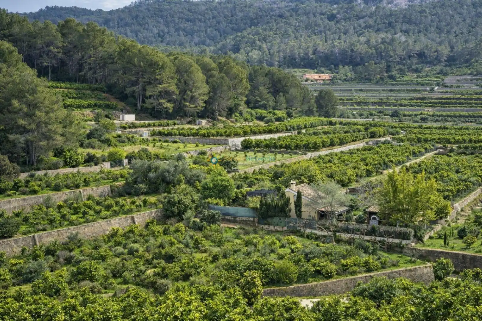 Garten von Country house zum Verkauf in Alfauir mit Privatgarten und Terrasse