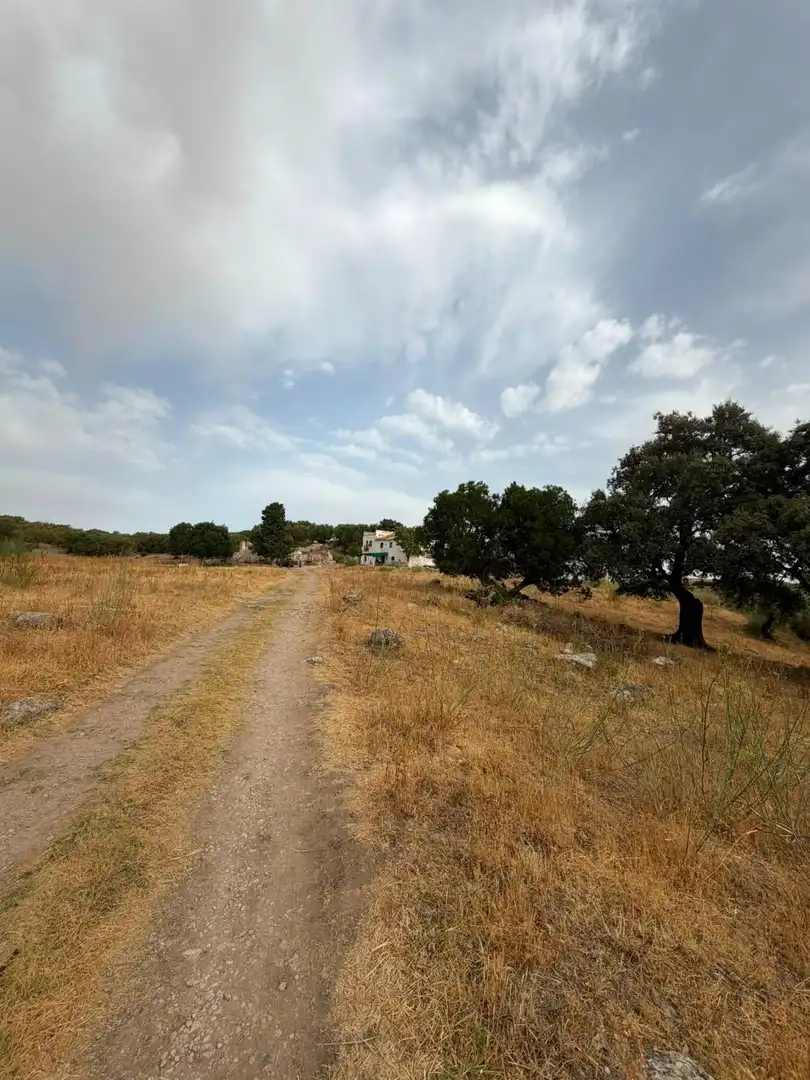 Rural land for sale in Morón de la Frontera, imagen 5