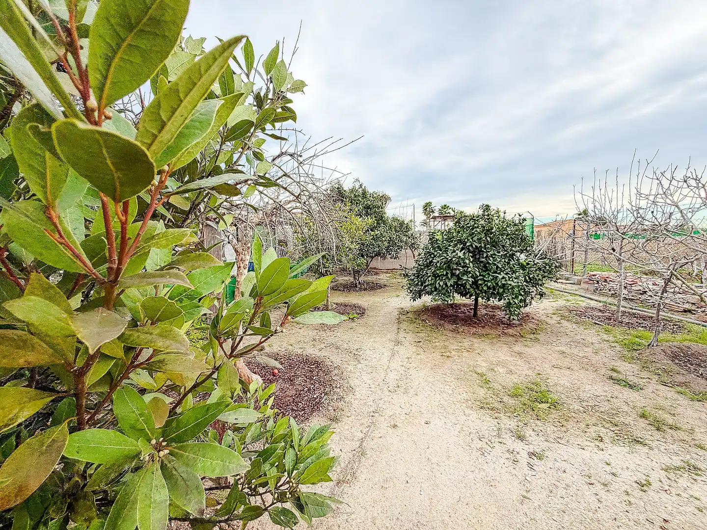 Country house for sale in Elche ciudad, imagen 43