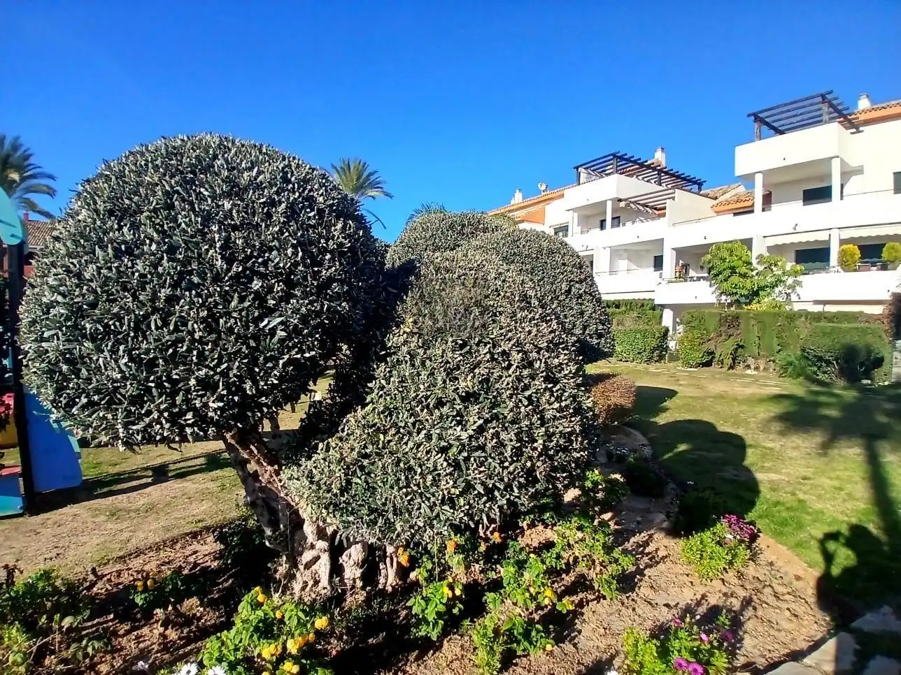 Piso con piscina en venta en Benamara - Atalaya, imagen 20