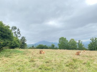 Terreni e lotti in vendita a Parres