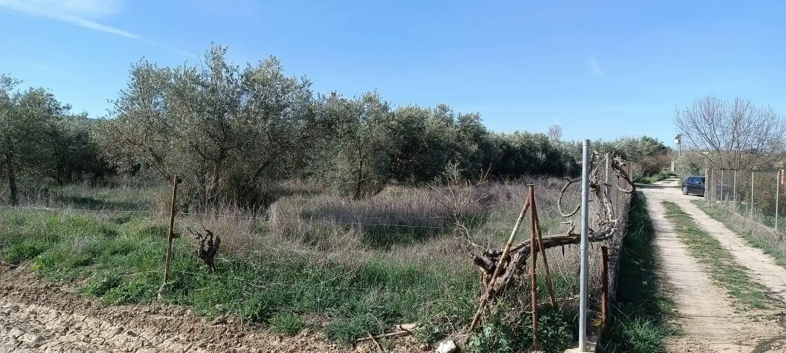 Finca rústica en venta en Villa de Otura