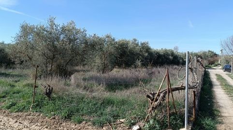 Imatge 2 de l'anunci