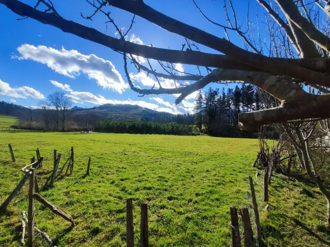Terreno en venta en Abadiño 