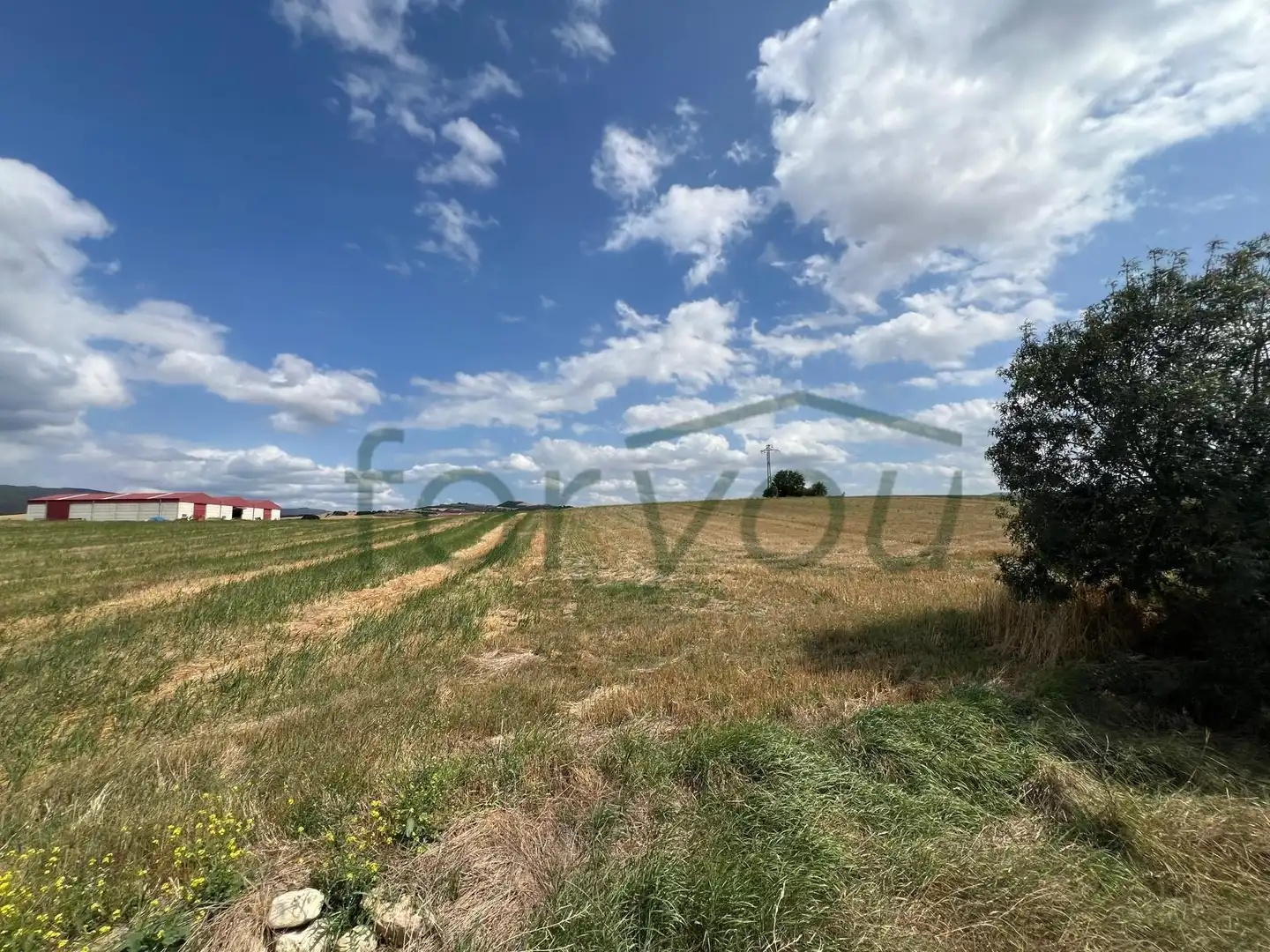 Terreno residencial en venta en Calle Calle de Santiago, imagen 5