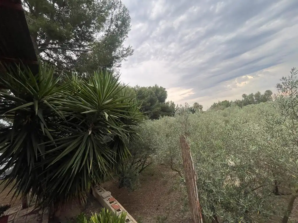 Terreno rustico in vendita a Dolores, imagen 27