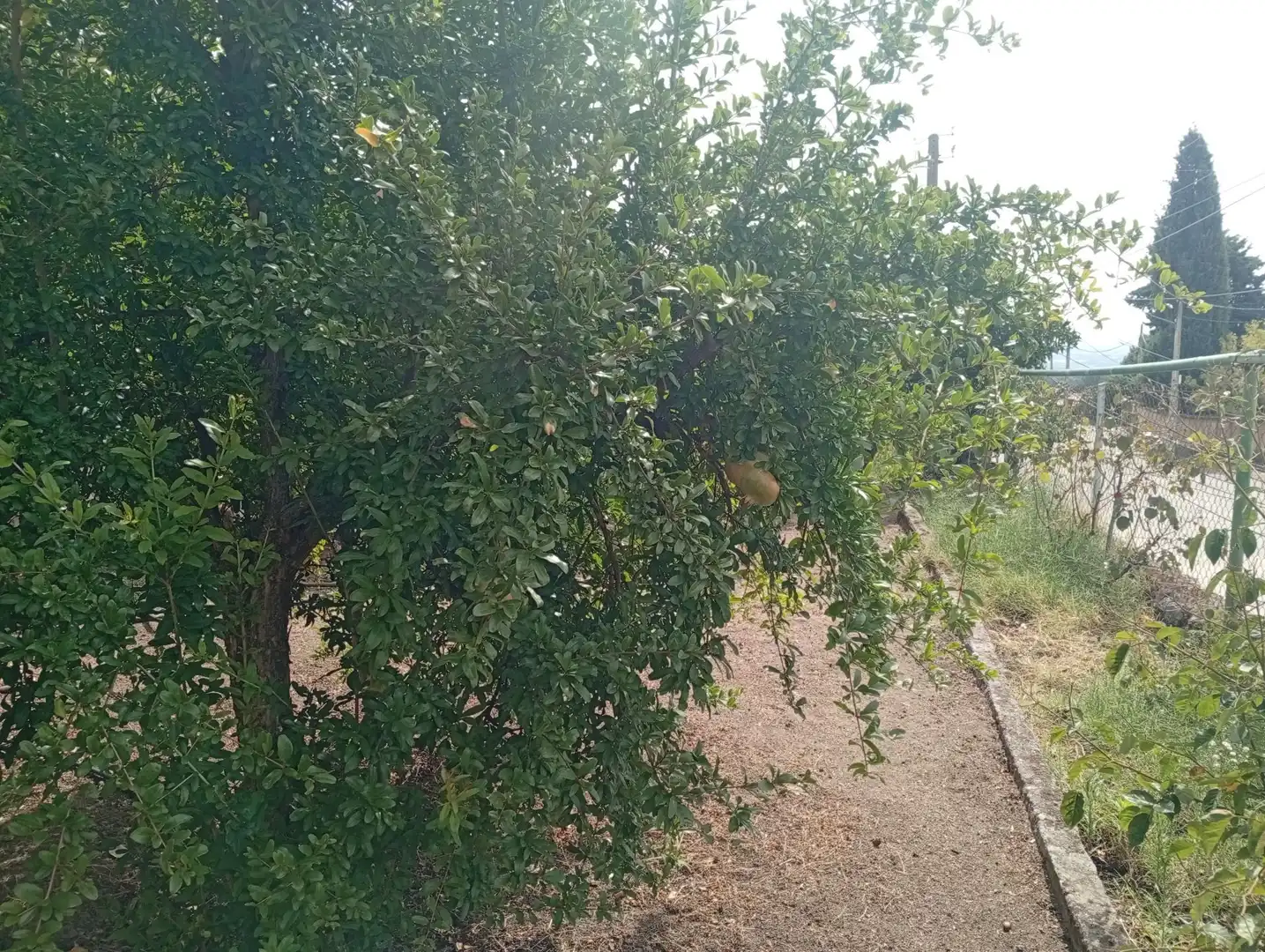 Haus mit Garten zum Verkauf in Villanueva de la Vera, imagen 60
