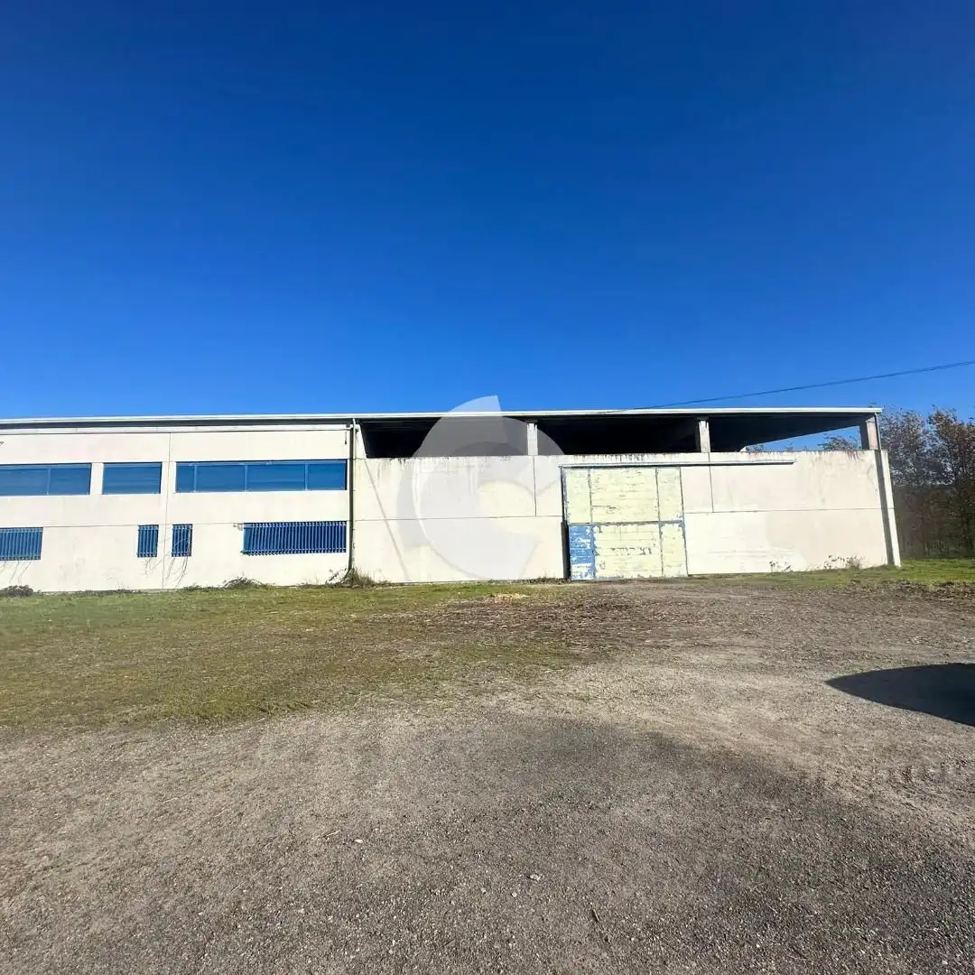 Exterior view of Industrial buildings for sale in Cortegada