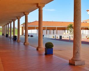 Terrace of Building for sale in Serrejón