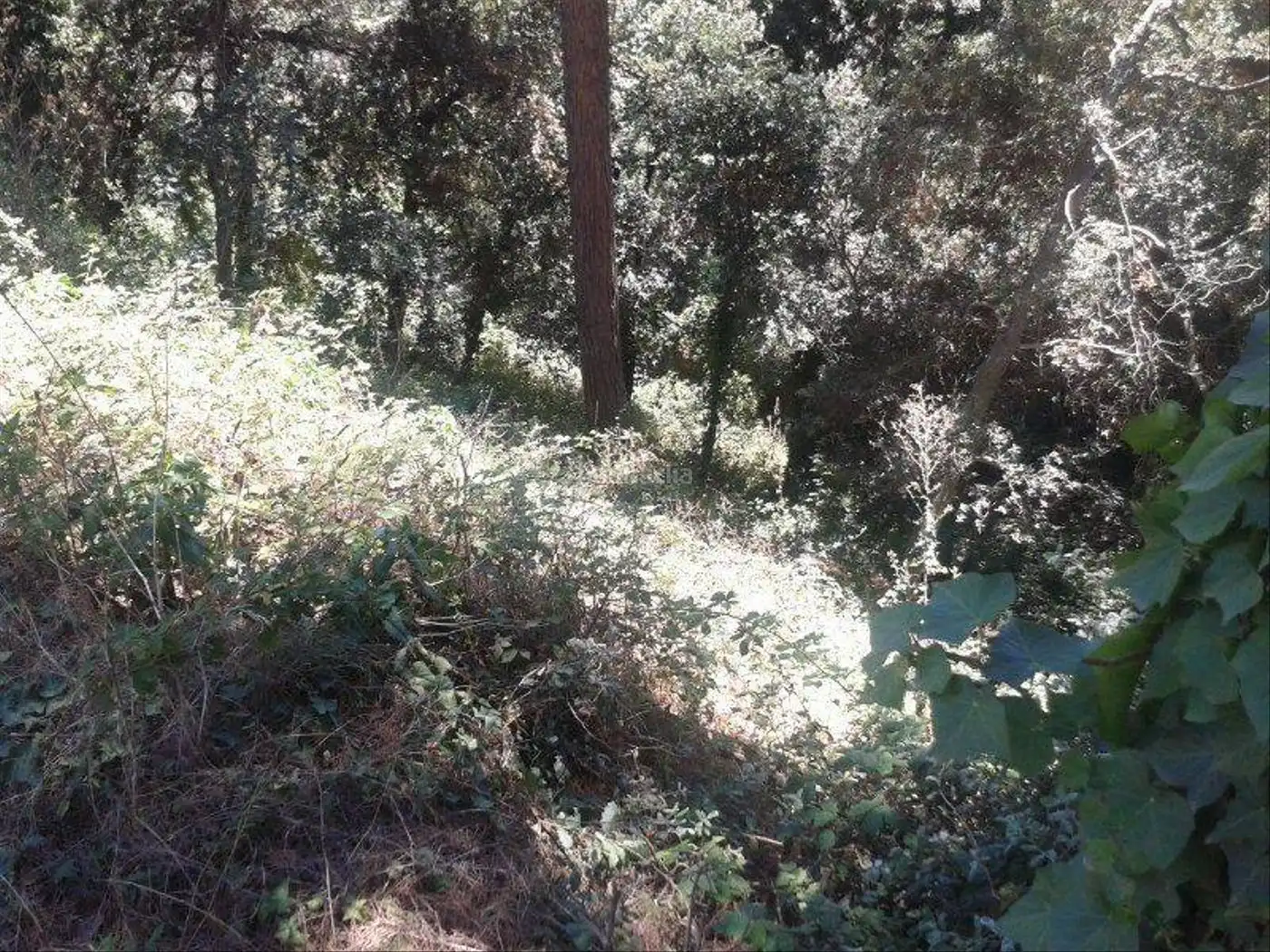 Lands and plots for sale in Can Massuet del Far