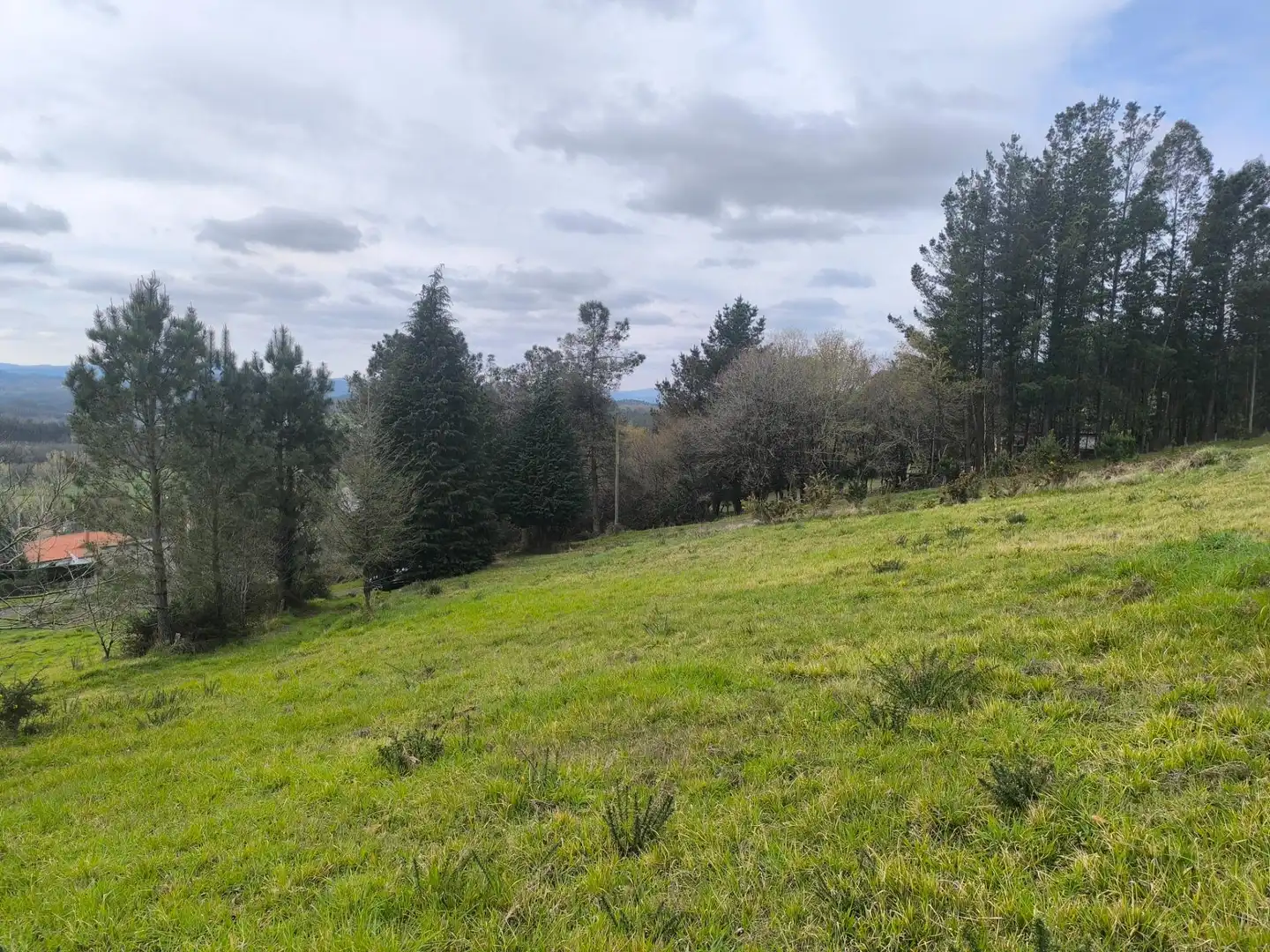 Casa o xalet en venda en Palas de Rei amb Jardí privat