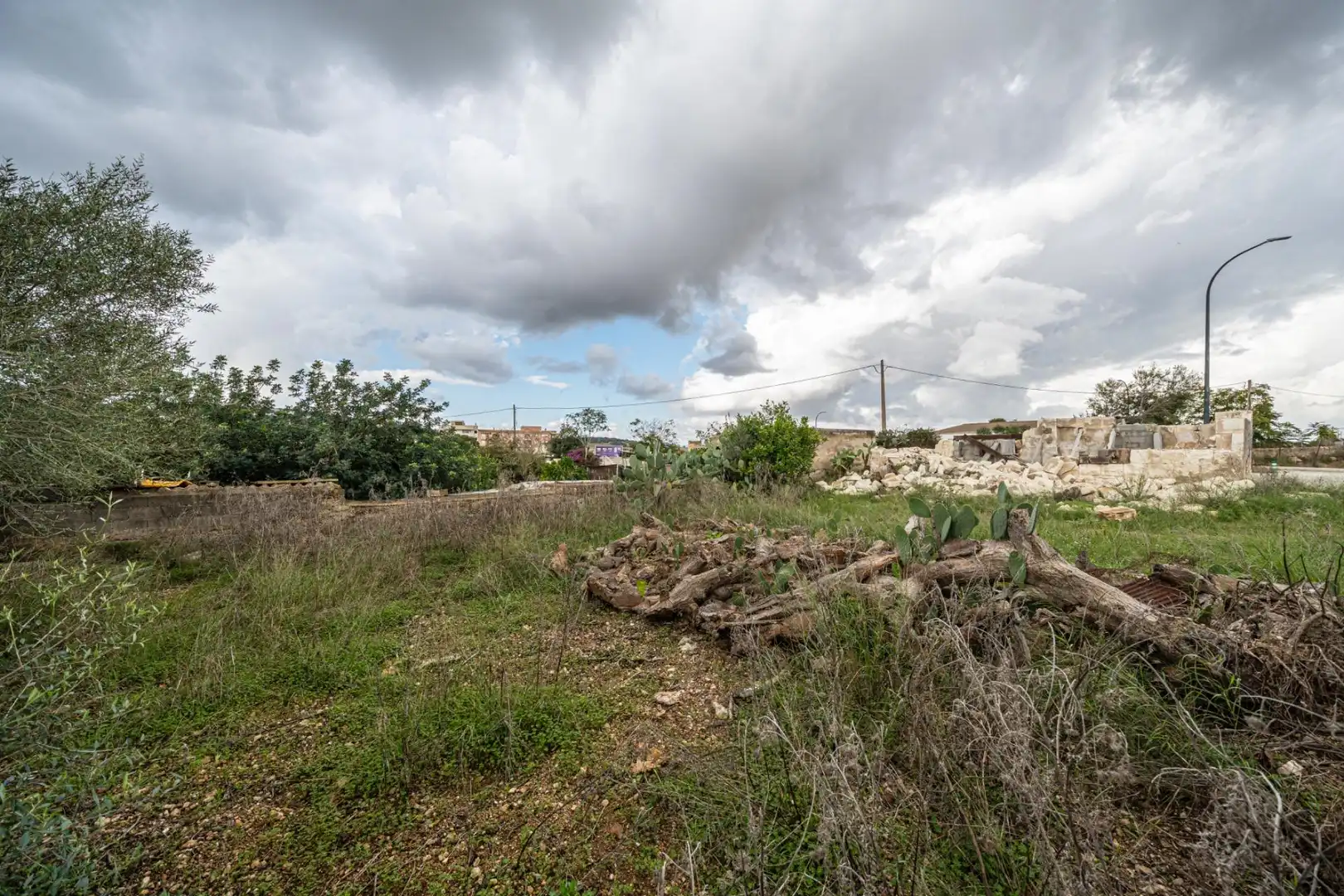 Rural land for sale in Felanitx Poble, imagen 12