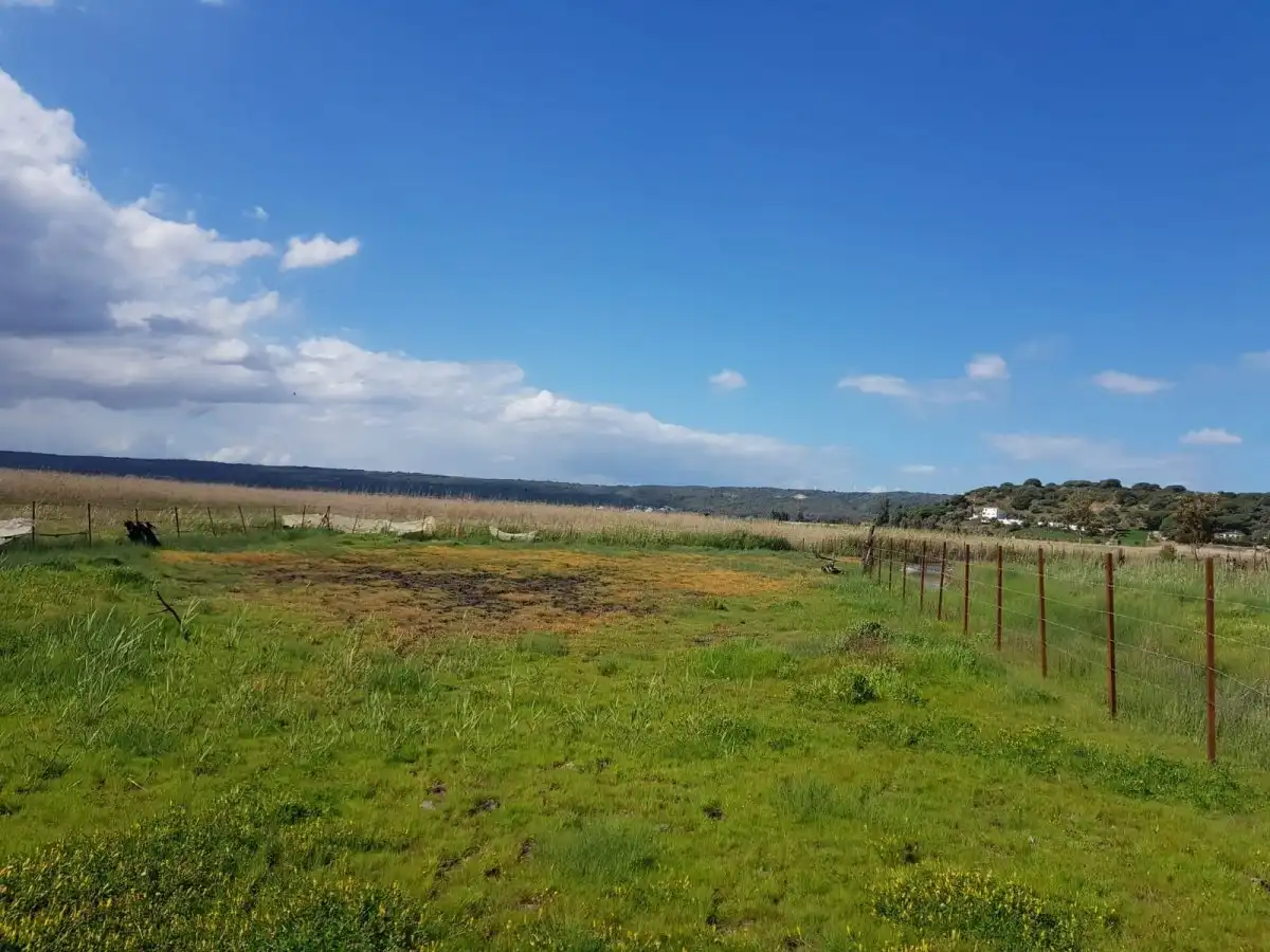 Terreno en venta en Barbate