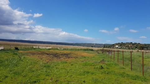 Foto 2 de Terreno en venta en Barbate ciudad, Cádiz