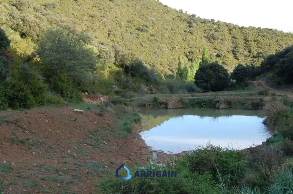 Casa o chalet en venta en La Moraleja con Jardín privado