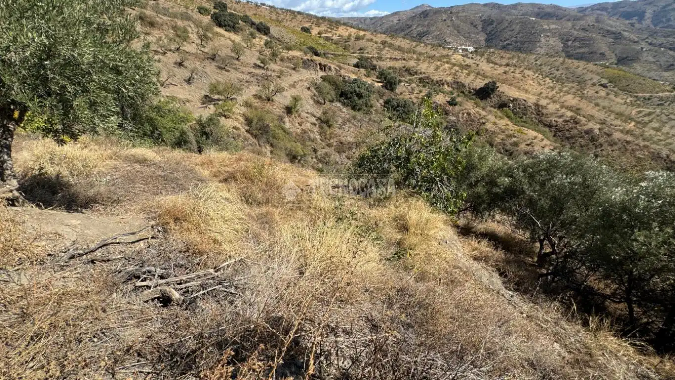 Finca rústica en venta en Albondón con Calefacción