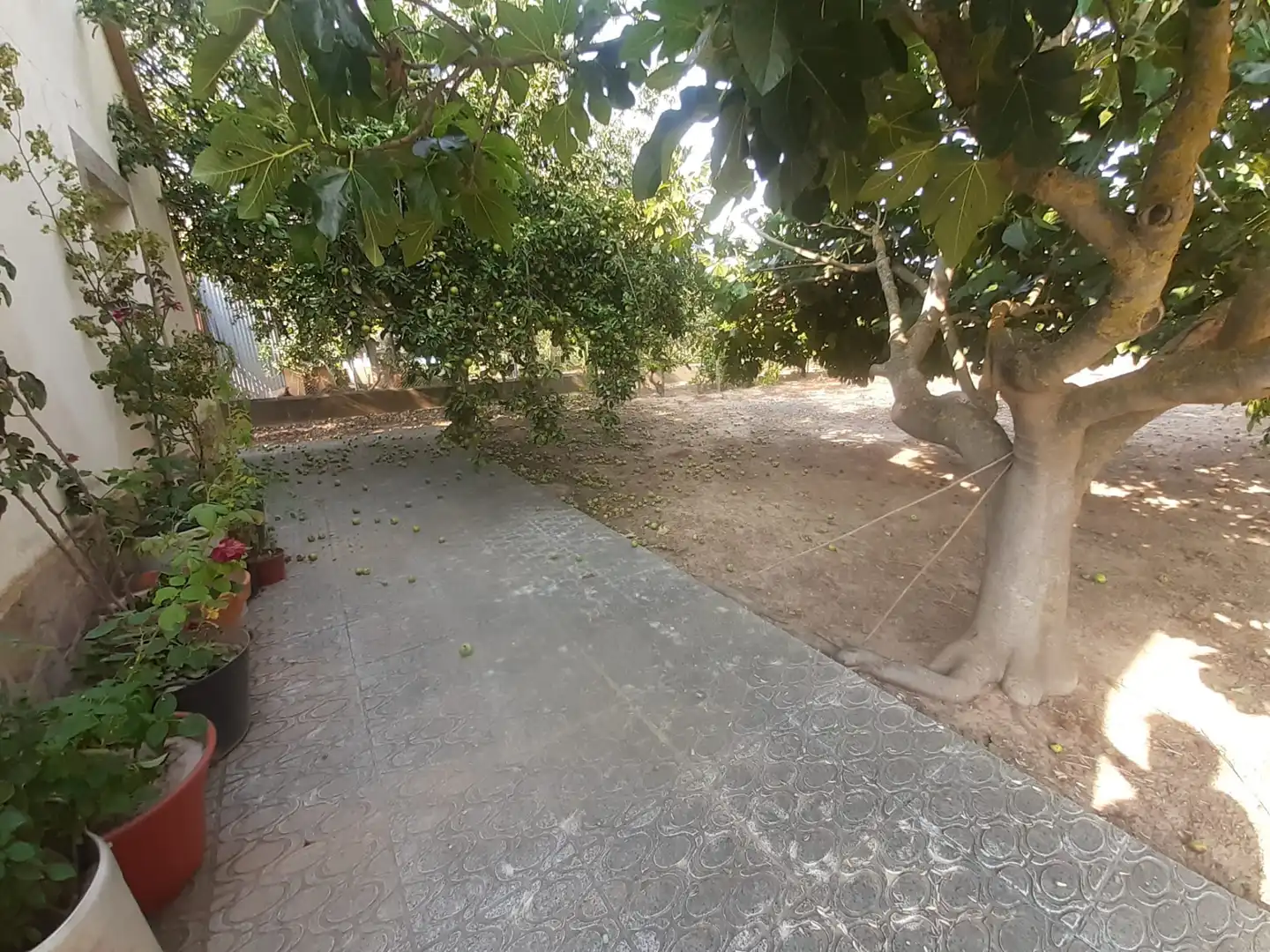 Terreno en venta en Zamora Capital 
