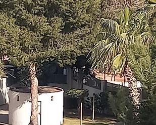 Vista exterior de Pis de lloguer en Garrucha amb Aire condicionat, Terrassa i Moblat