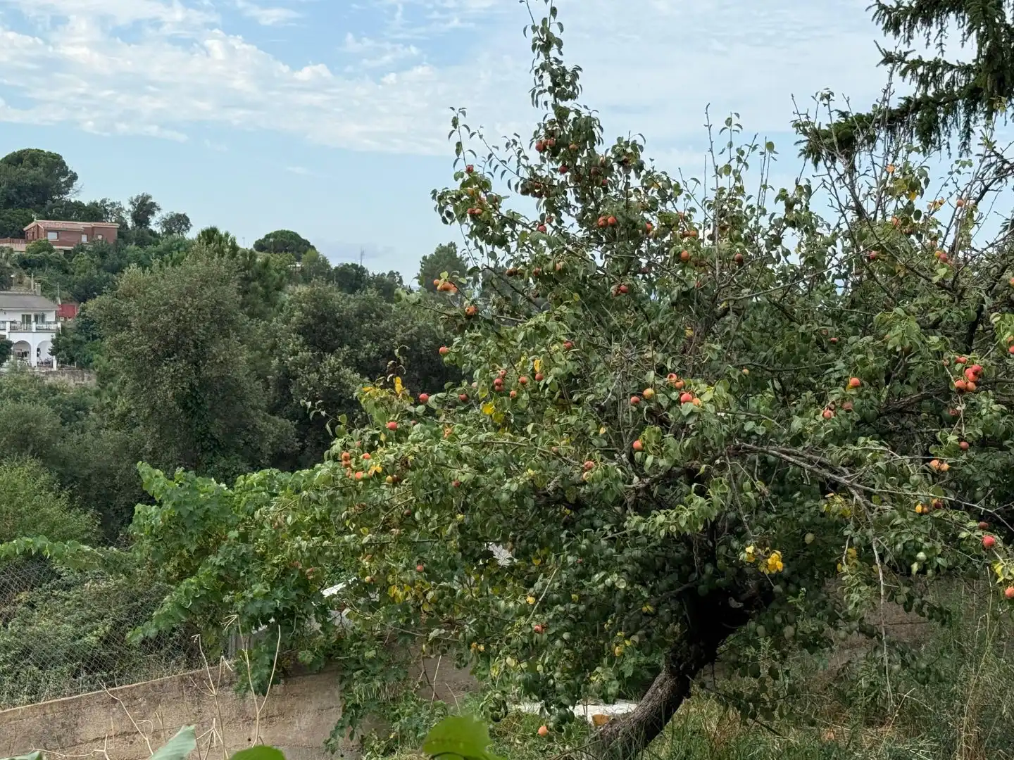 Terreno residencial en venta en Carretera de Can Fornaca 5, imagen 15