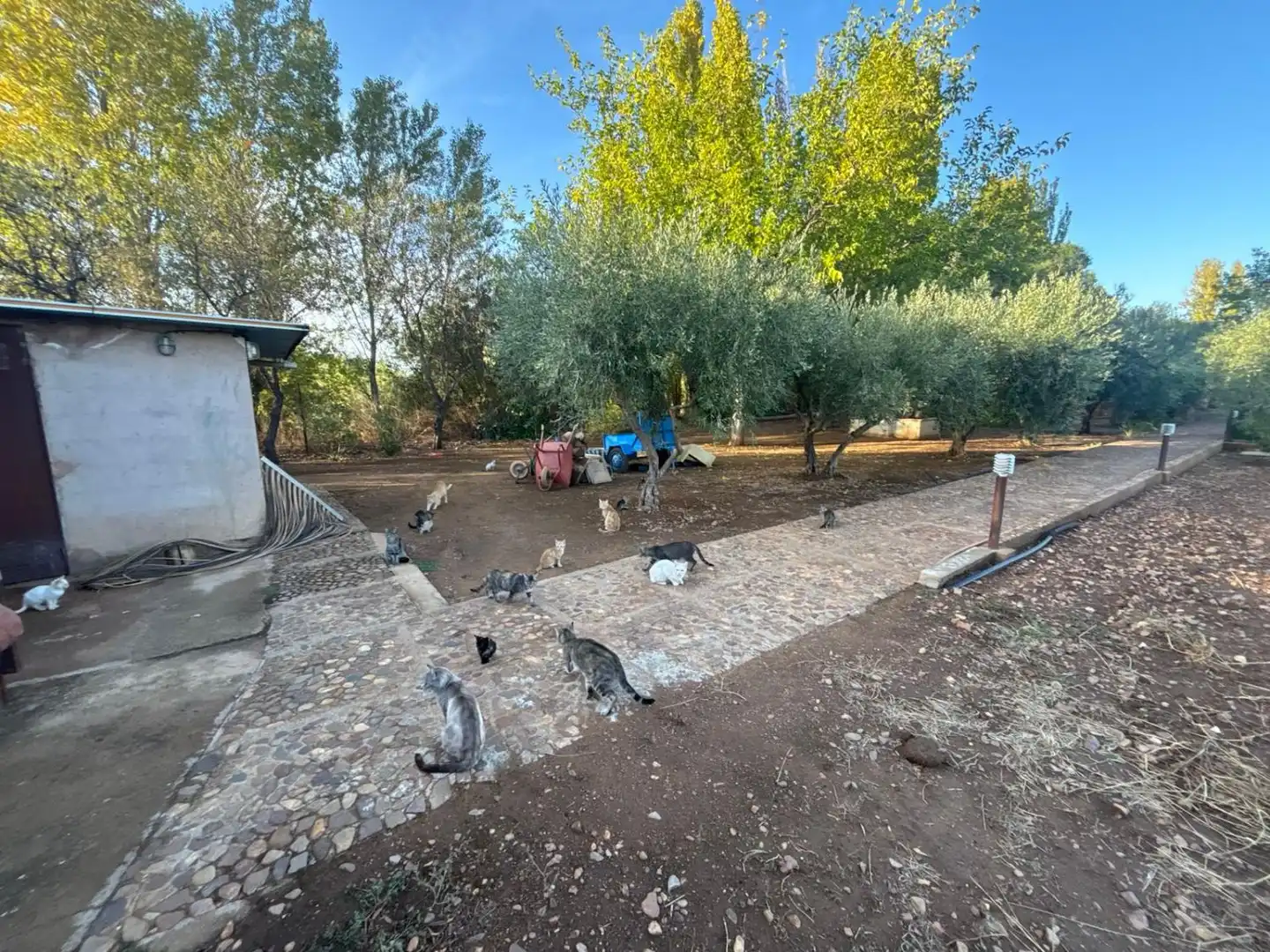 Residencial en venda a Malagón