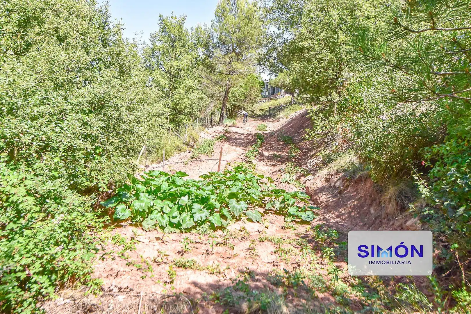 Finca rústica en venda en Sant Pere Sallavinera amb Aire condicionat, Calefacció i Terrassa