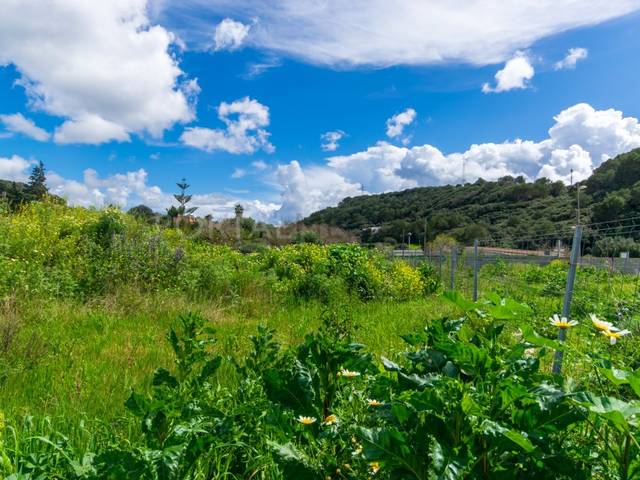 Terreno residencial en Venta en Ferreries poble