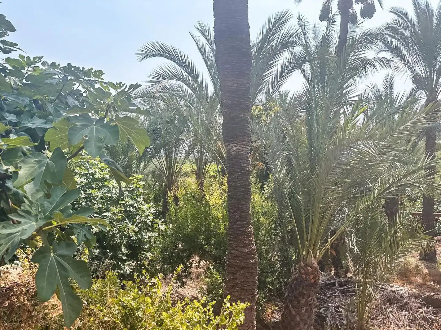 Xalet amb piscina en venda a Montepinar - La Aparecida - Raiguero, imagen 32