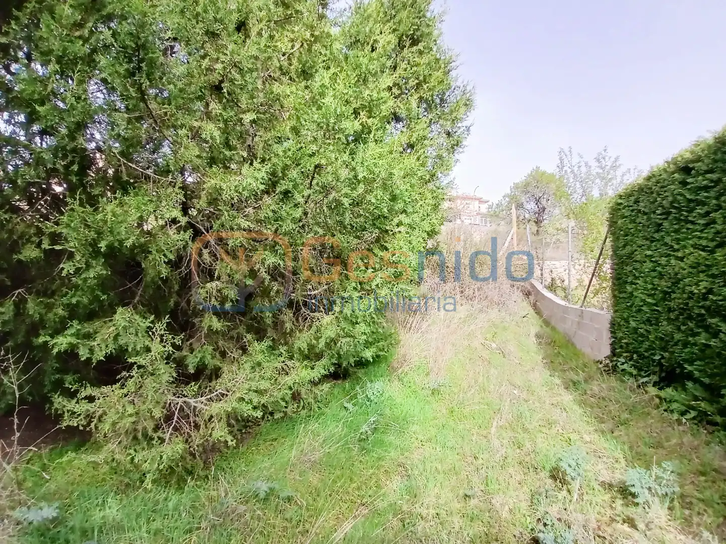 Terreny residencial en venda a Prádena, imagen 6