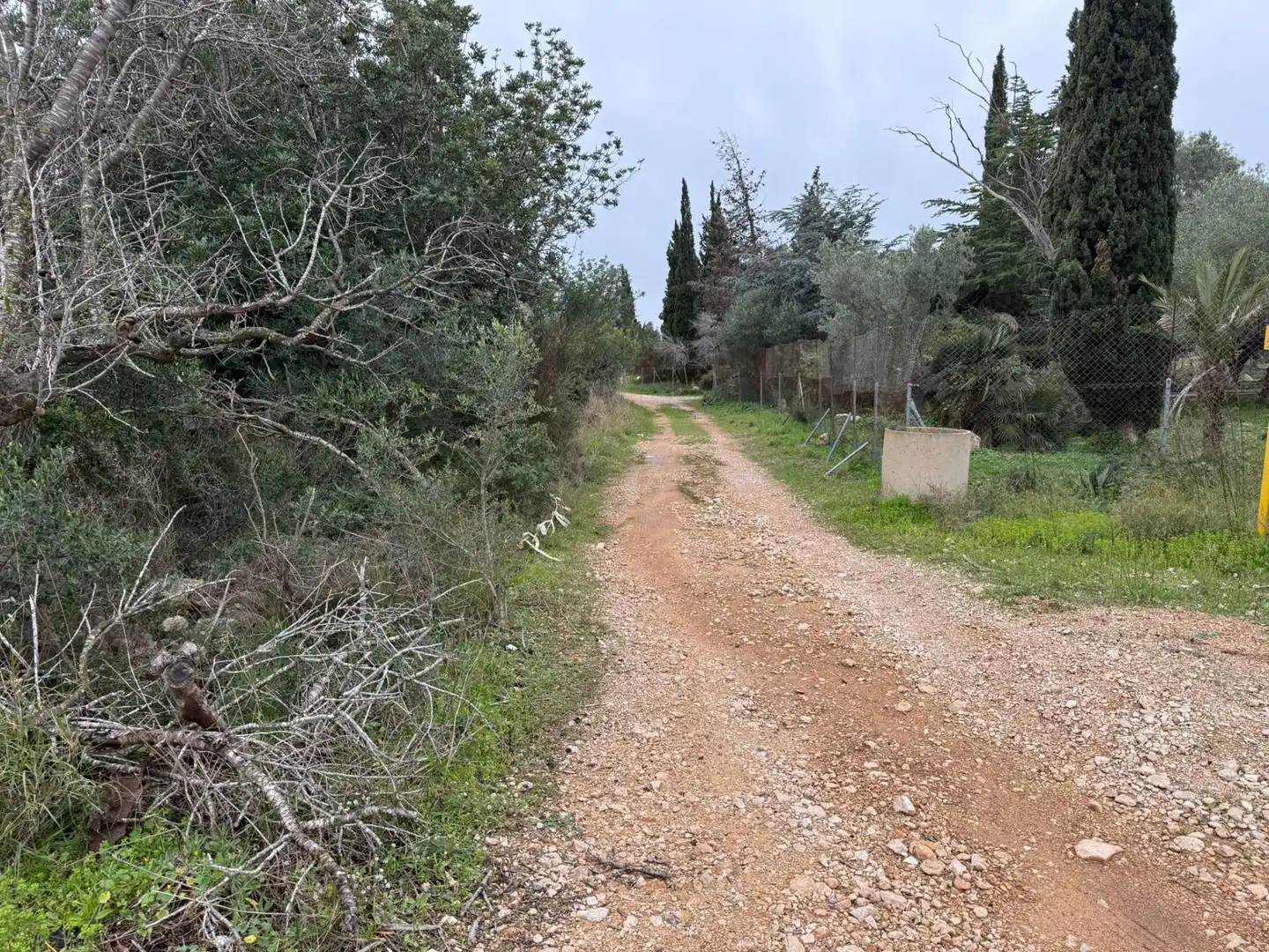 Finca rústica en venta en Camarles
