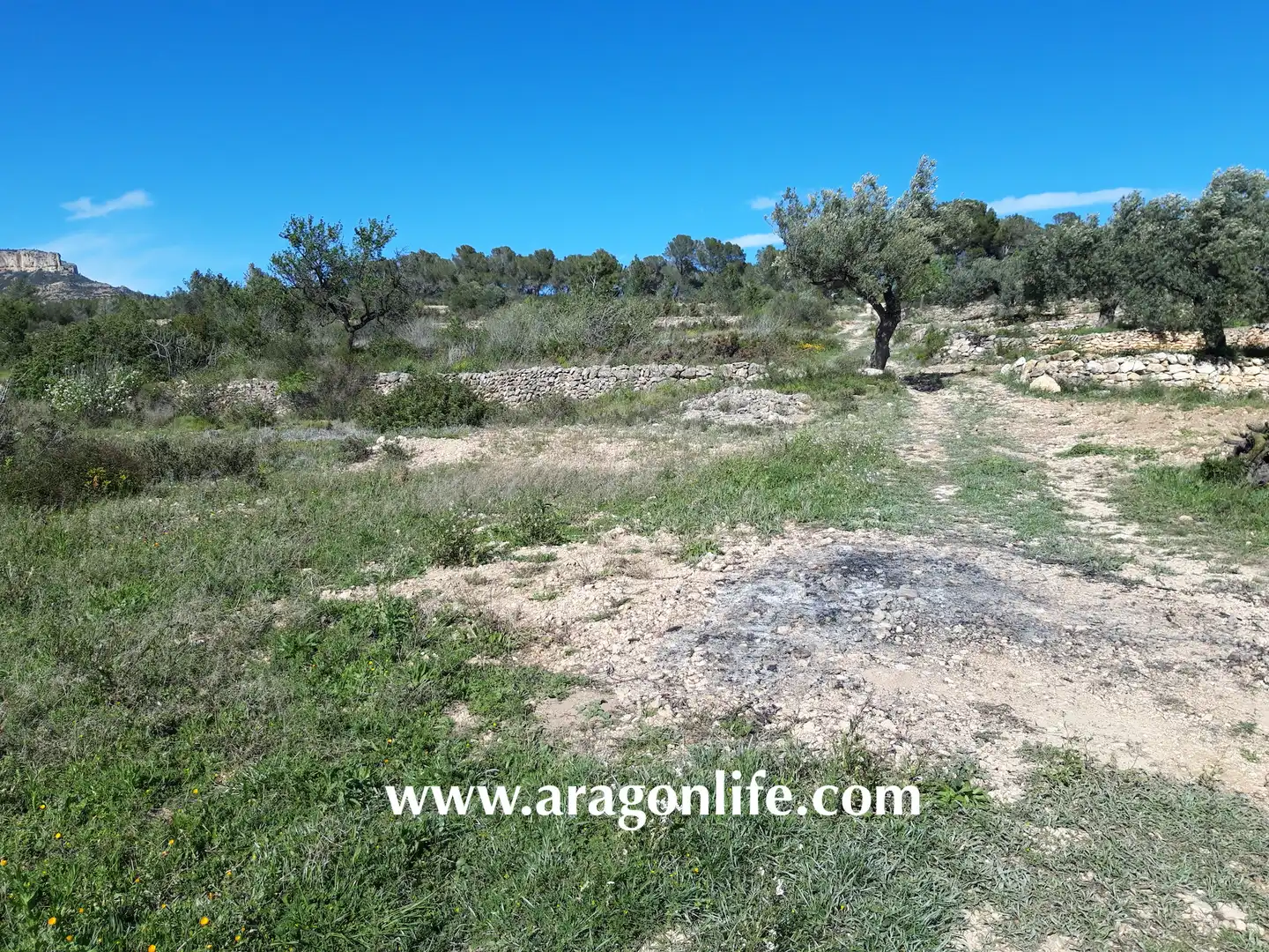 Rural land for sale in C-43, imagen 14