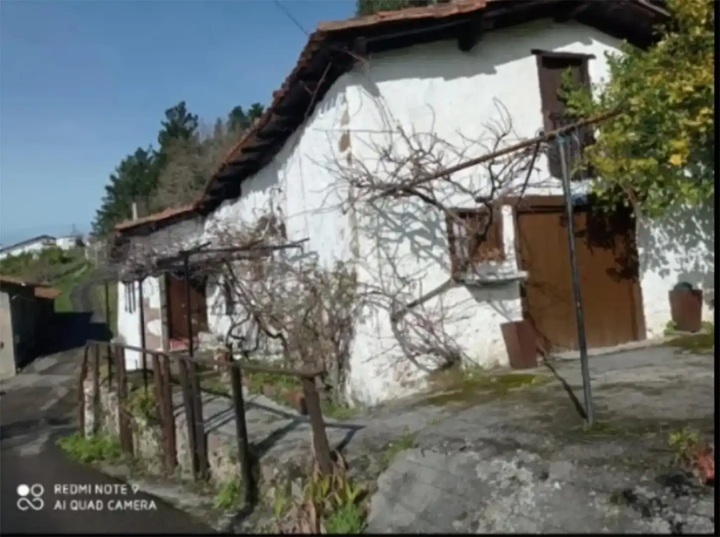 Vista exterior de Finca rústica en venta en Ea