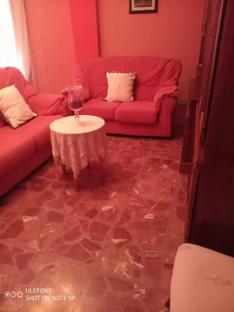 Sala d'estar de Finca rústica en venda en Linares amb Aire condicionat i Balcó