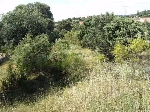 Terreni e lotti in vendita a Maello, imagen 7