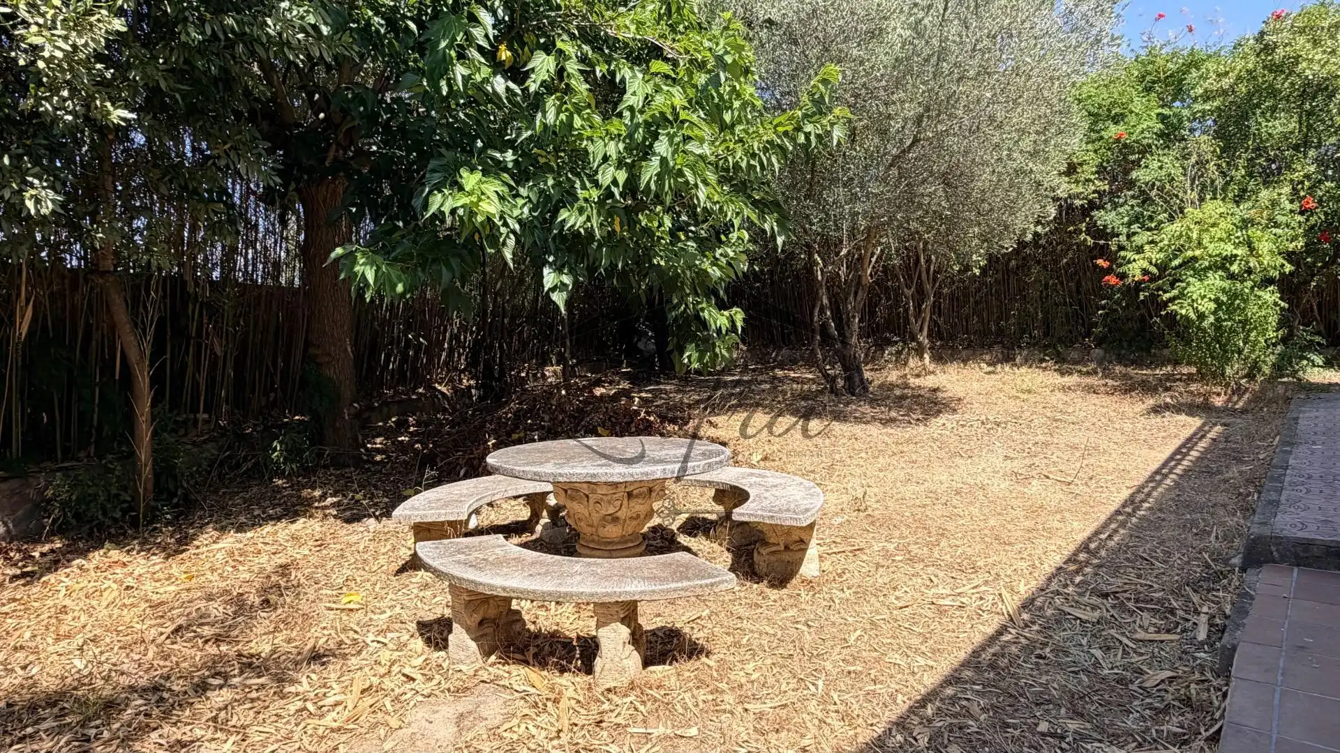 Casa con jardín en venta en Carrer Carrer Avet, imagen 14