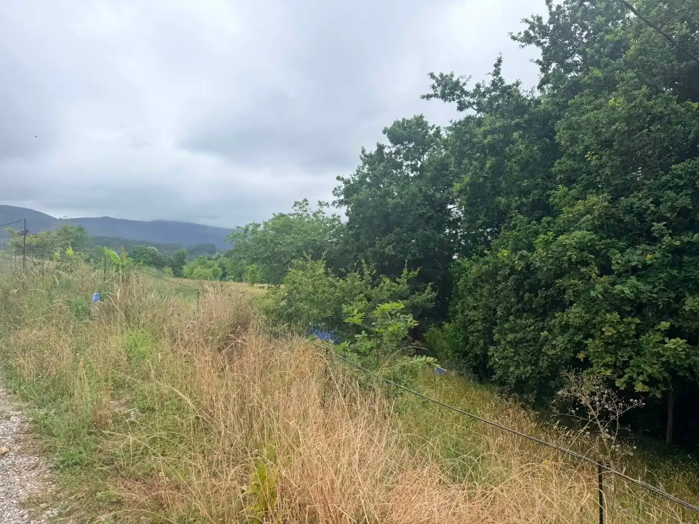 Casa o xalet en venda en Cartes amb Aire condicionat, Calefacció i Jardí privat