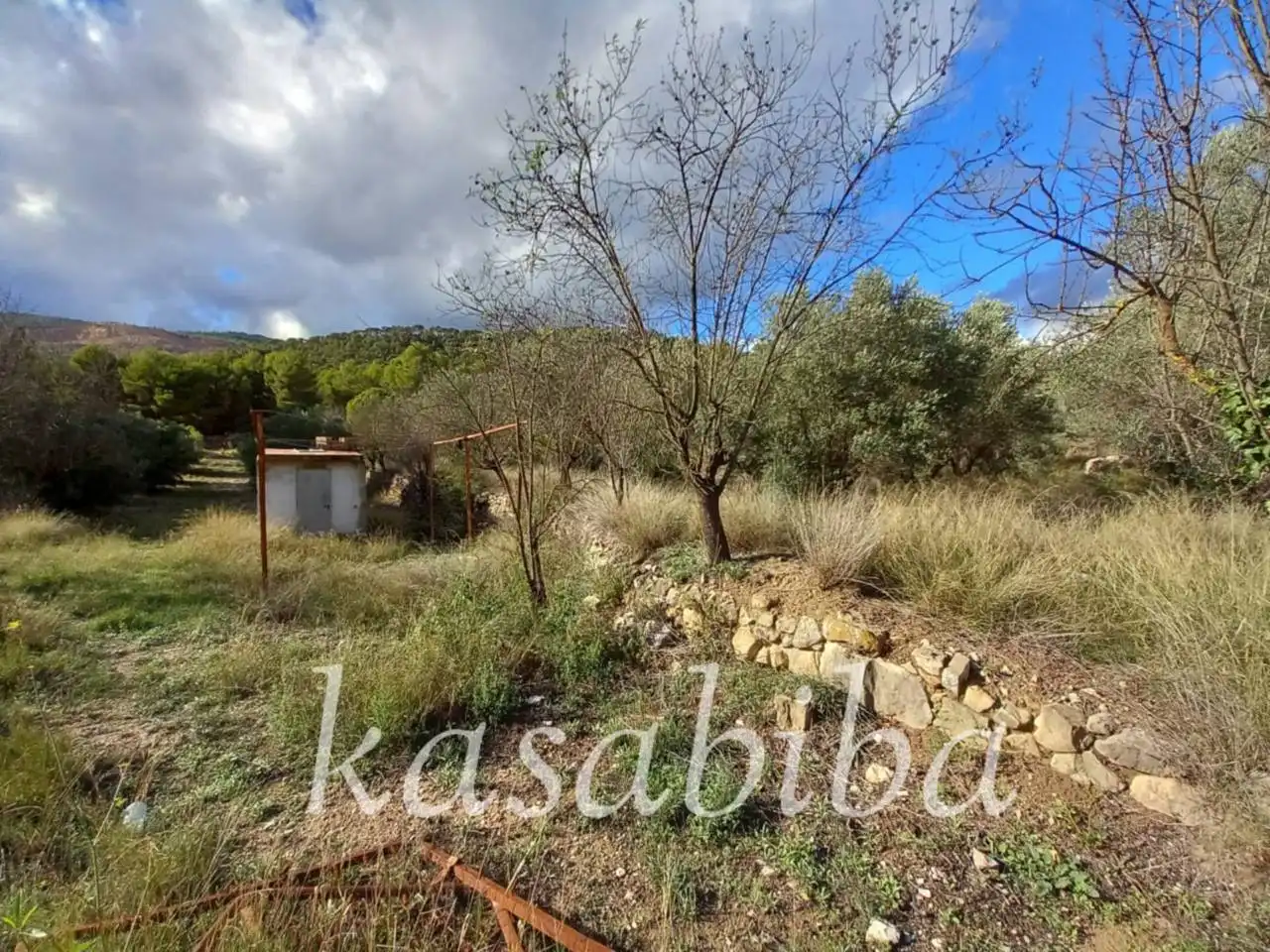 Finca rústica en venda en Andilla amb Terrassa