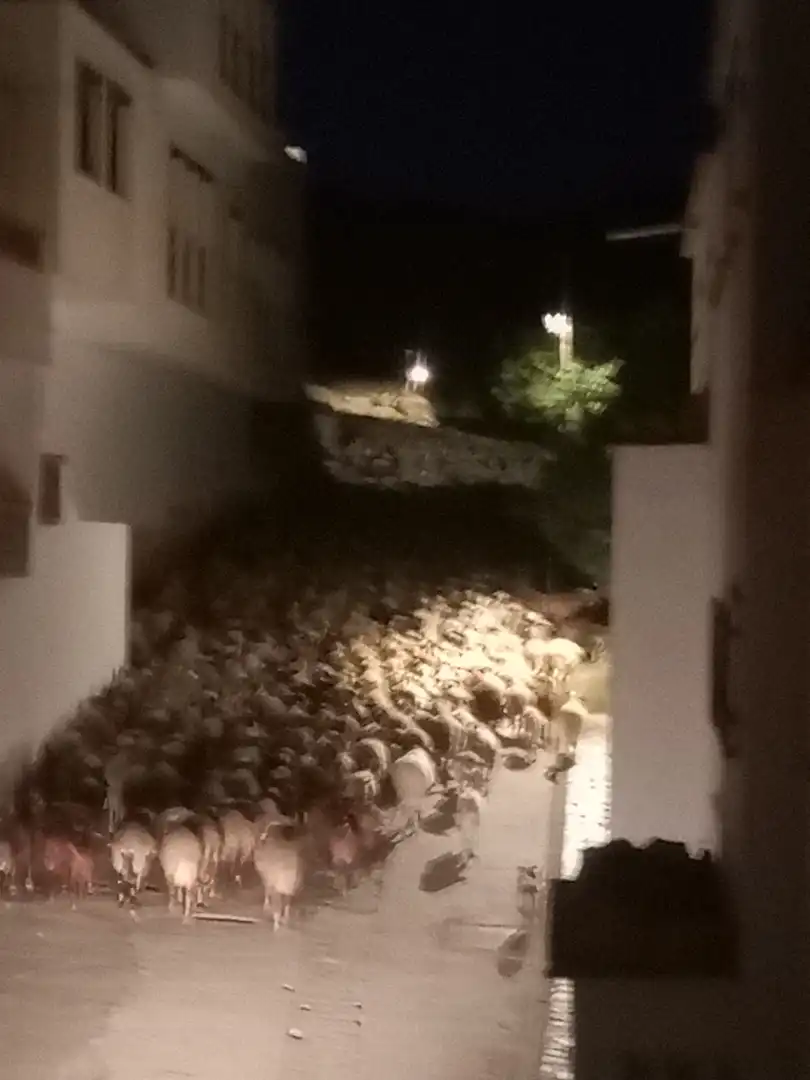 Exterior view of Apartments for sale in Alpujarra de la Sierra  with Balcony