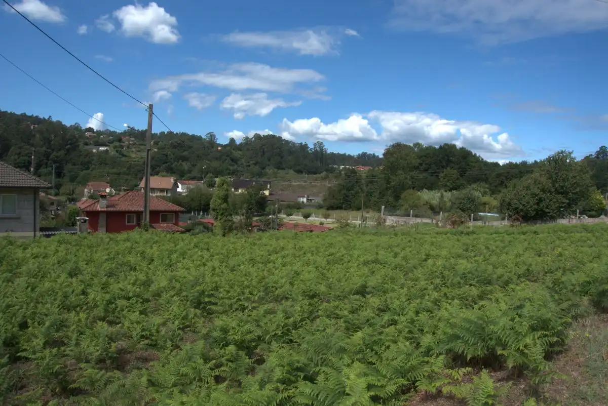 Terrains et parcelles à vendre à Mos, imagen 11