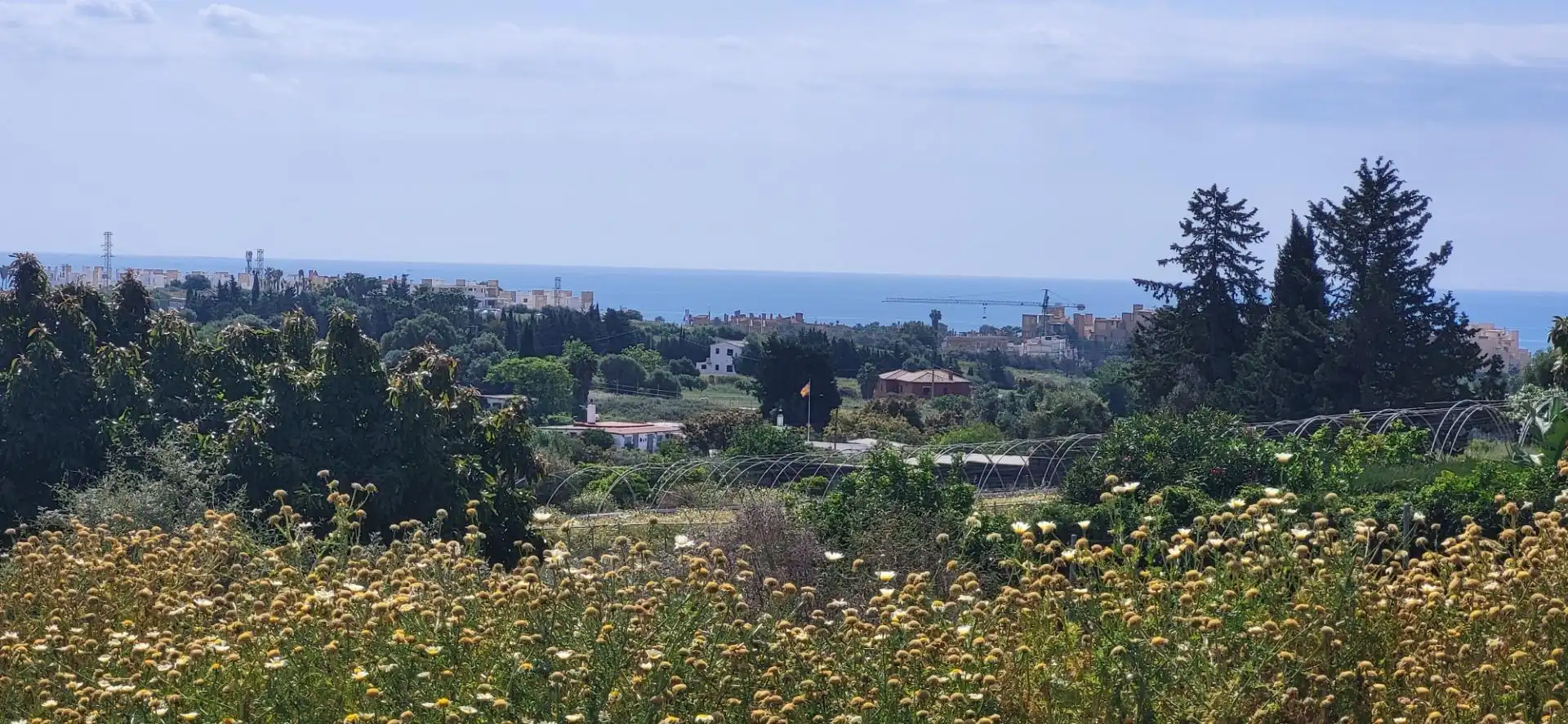 Terreni e lotti in vendita a Punta Plata, imagen 7