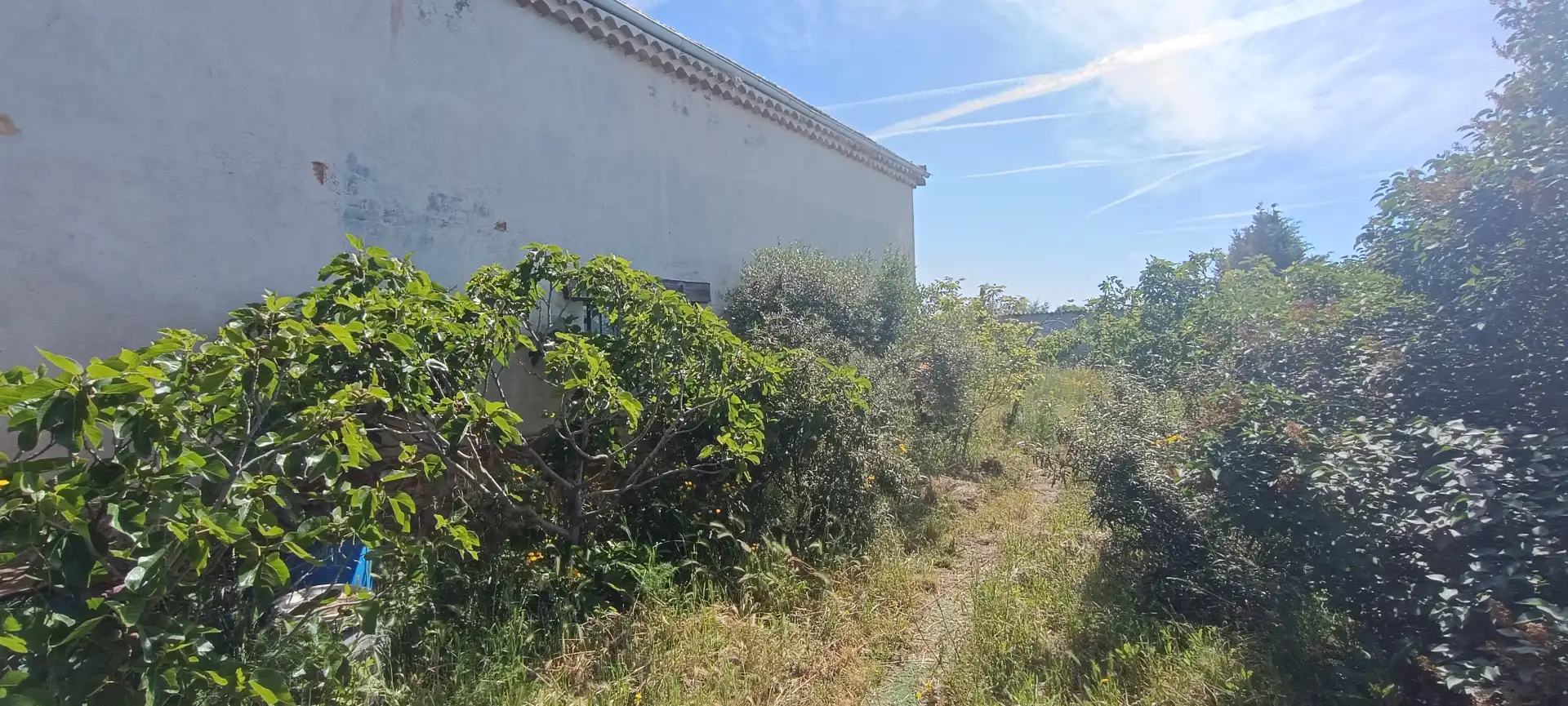Country house zum Verkauf in Camino de la Ermita, El Molar (Madrid)